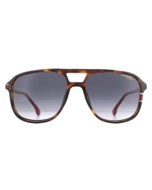 Carrera Aviator Zonnebril Havana Met Rood Donkergrijs Kleurverloop in het Gray voor heren