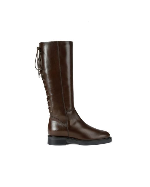 Carvela Kurt Geiger Brown Leather Trento Knee Boots