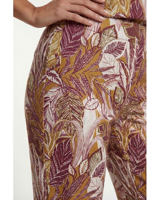Wallis Brown Tropical Print Wide Leg Trouser