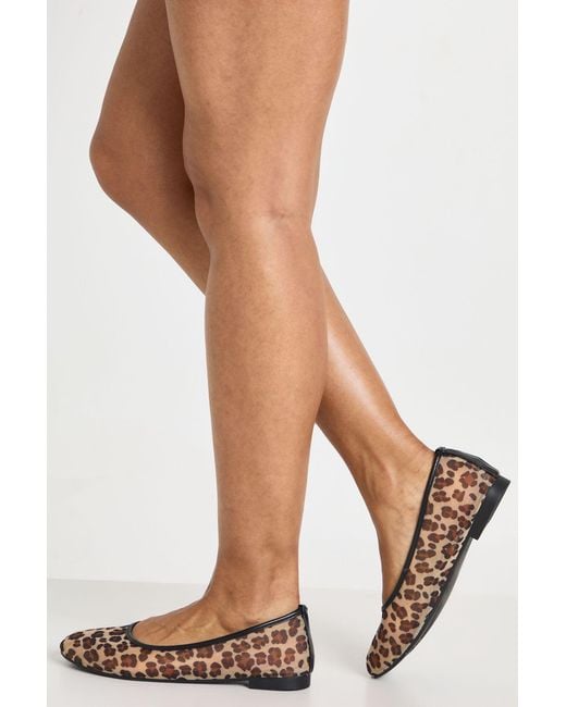 Boohoo Natural Mesh Print Ballet Flats