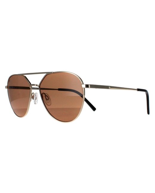 Serengeti Brown Aviator Shiny Light Saturn Polarized Odell