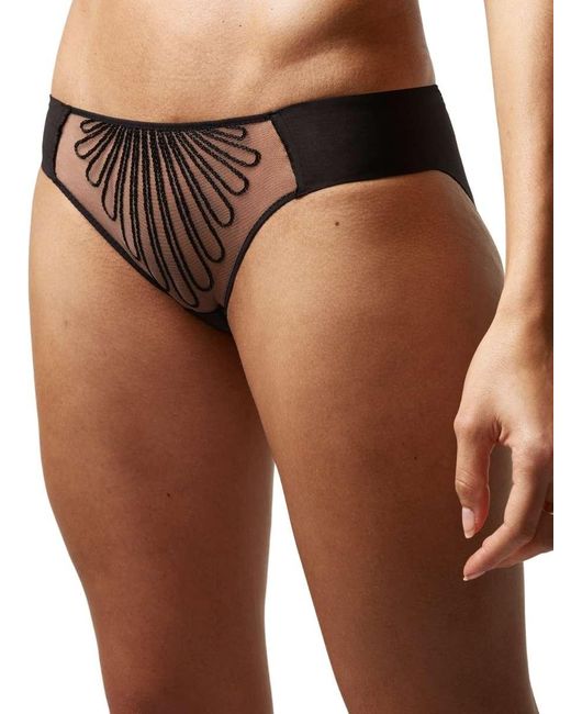 Chantelle Brown Magnetic Brief