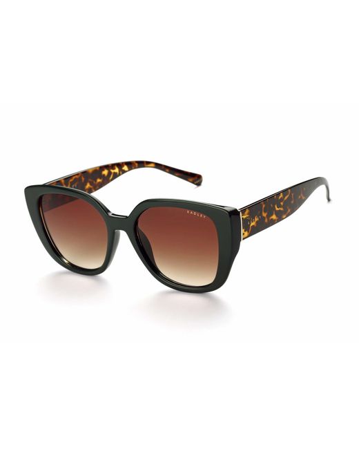 Radley Brown Square Tortoise Gradient Chiswick