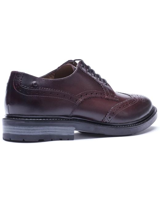Base London Purple Tanner Leather Bordo Brogues Shoes for men
