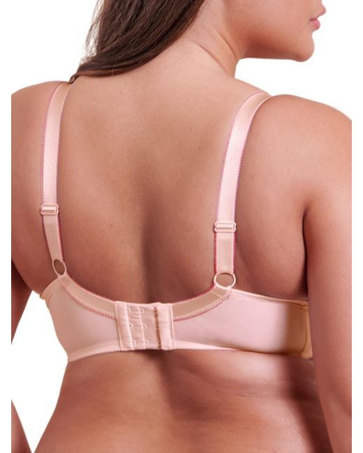 Curvy Kate Pink Lightstyle Scallop Sheer Plunge Bra
