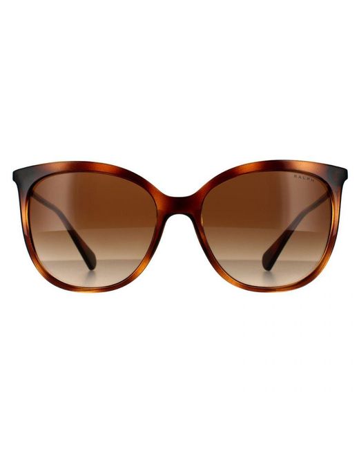Ralph Lauren Brown By Butterfly Shiny Dark Havana Gradient Sunglasses