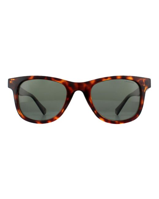 Polaroid Brown Rectangle Dark Havana Polarized Sunglasses