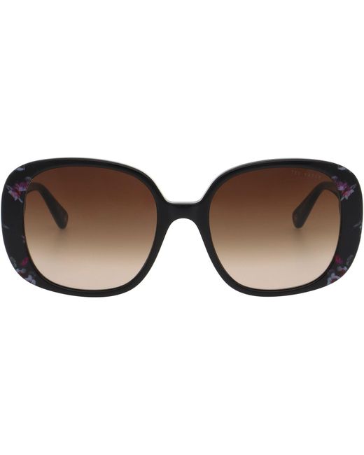 Ted Baker Brown Emilia Sunglasses for men