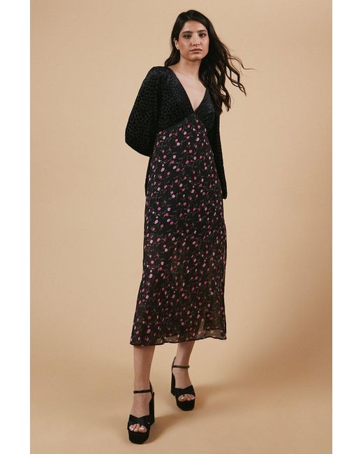 Oasis Natural Occasion Floral Spot Bodice Midi Dress