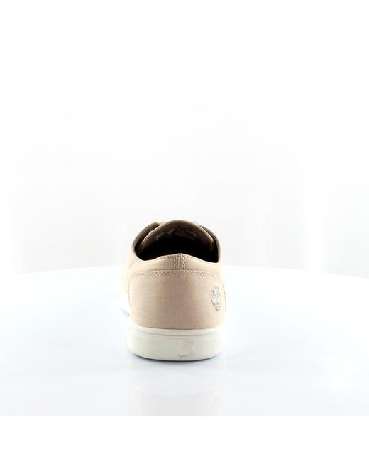 Timberland best sale bayham canvas
