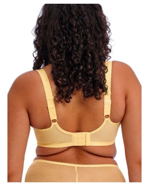 Elomi Brown Charley Side Support Plunge Bra