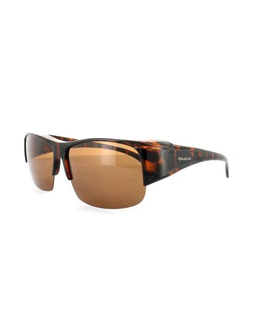 Polaroid Brown Suncovers Semi Rimless Dark Havana Copper Polarized Sunglasses