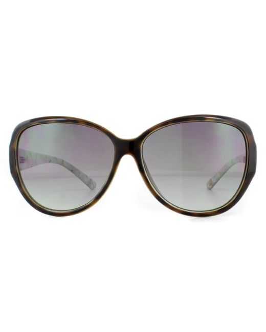 Ted Baker Gray Sunglasses Tb1394 Shay 112 Tortoise Gradient