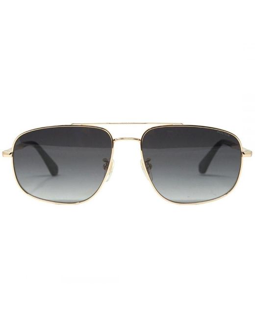 Police Gray Sple04M 0300 Sunglasses for men