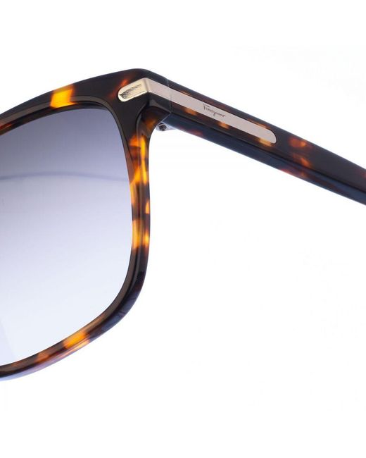 Ferragamo Blue Square Shaped Acetate Sunglasses Sf992S for men