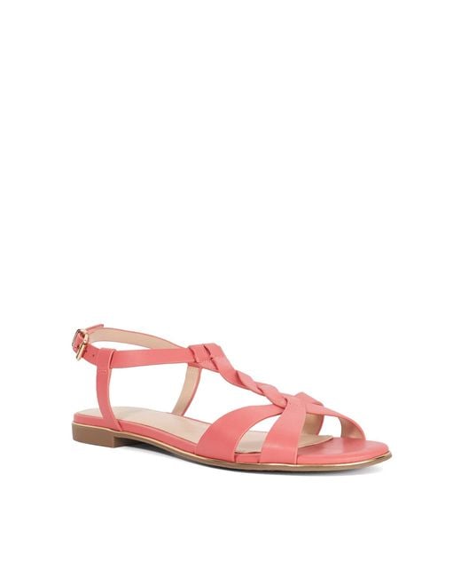 Dune Pink Ladies Lylar