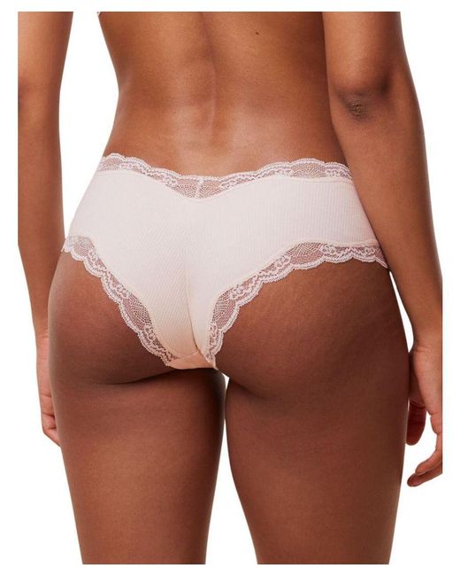 Triumph Natural Spotlight Hipster Brief
