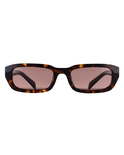 Prada Brown Rectangle Root Tortoise Light Prb06S