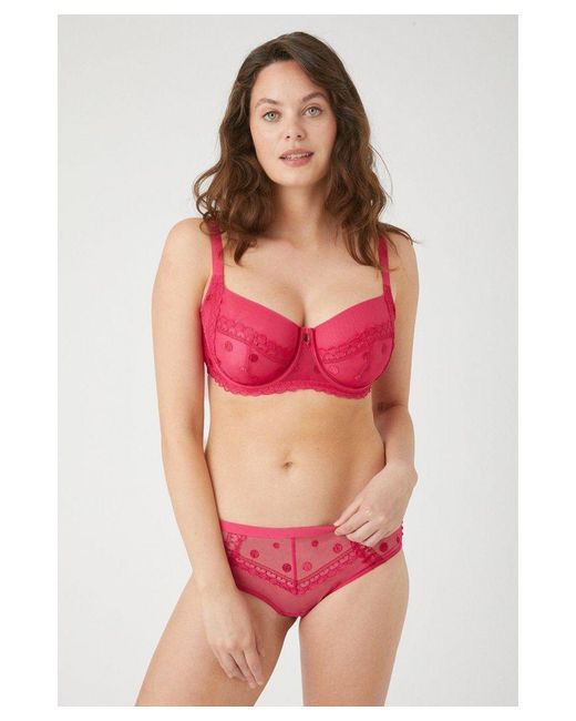 Gorgeous Red Dd+ Fuller Bust Spot Embroidery Balcony Bra