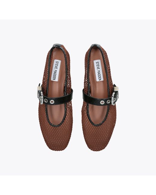 Steve Madden Brown Lucia Ballet Flats Fabric