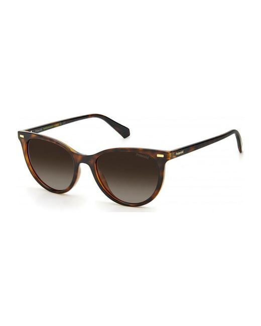 Polaroid Brown Pld 4107 52 S 086F2La Sunglasses