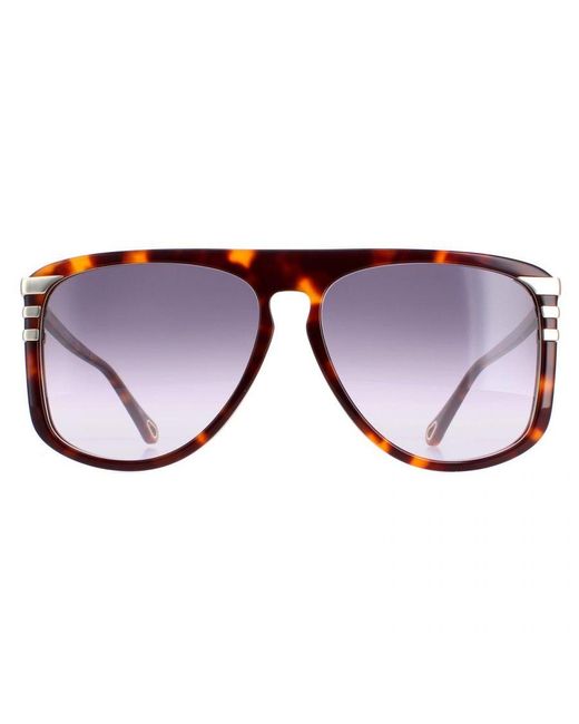 Chloé Brown Chloé Aviator Shiny Medium Havana Gradient Ch0104S