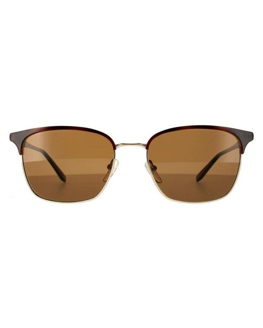 Ferragamo Brown Square Havana Shiny With Sunglasses for men
