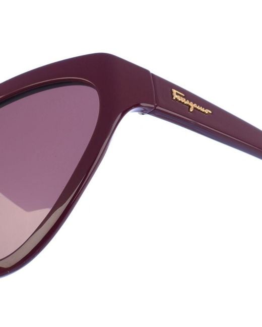 Ferragamo Purple Sf1017S Sunglasses