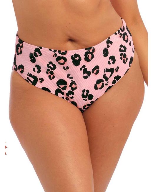 Elomi Pink Kambuku Bikini Brief