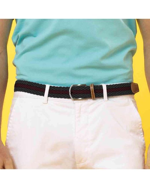 Asquith & Fox Black Two Colour Stripe Braid Stretch Belt /Burgundy) for men