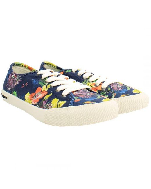 Seavees Blue Monterey Trina Turk Plimsolls