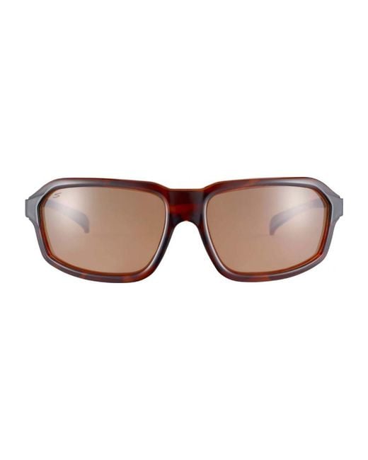Serengeti Brown Ss571004 Hext Tortoiseshell Sunglasses for men