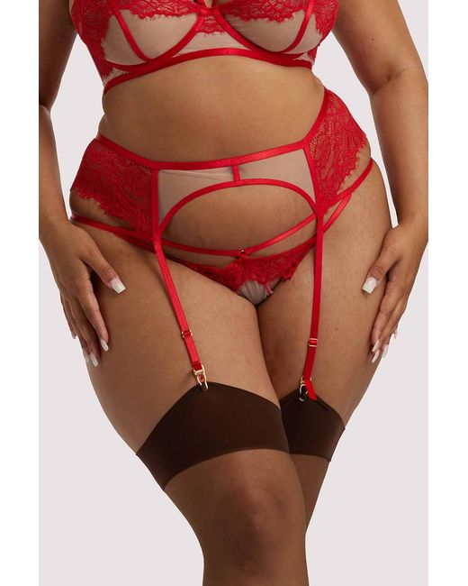 Hustler Red Mya Lace Suspender