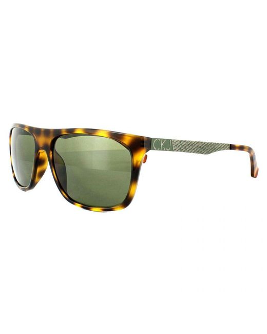 Calvin Klein Green Square Warm Tortoise Sunglasses for men