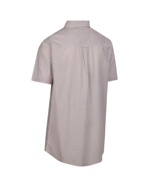 Trespass Purple Slapton Striped Woven Shirt (Oatmilk) for men