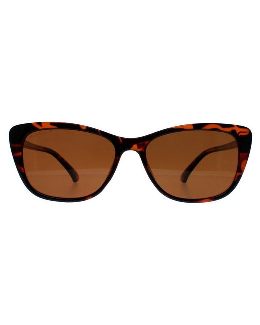 Montana Brown Cat Eye Tortoise Polarized Mp42