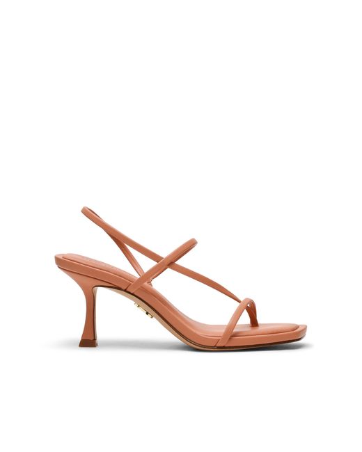 Steve Madden Pink Locke Cly Sandals