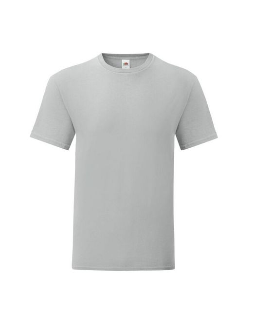 Fruit Of The Loom Iconisch 150 T-shirt (zink) in het Gray voor heren
