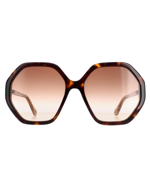 Chloé Brown Chloé Round Dark Havana And Crystal Gradient Ch0008S Esther