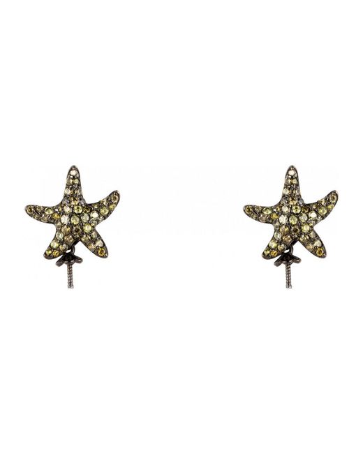 Lancaster Black Jla-Ear-Star-3 Ladies Earrings