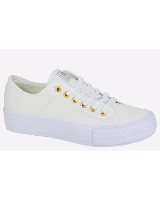 Dek White Azalea
