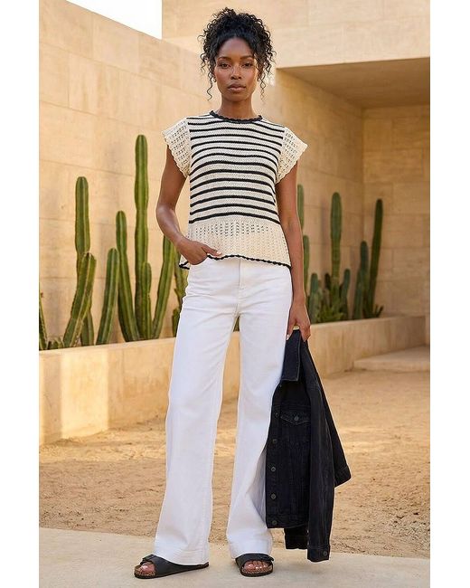 Roman Gray Stripe Knitted Top