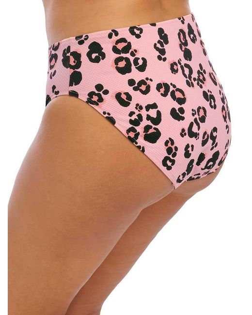 Elomi Pink Kambuku Bikini Brief