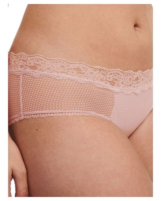 Passionata Pink Brooklyn Hipster