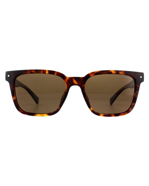 Polaroid Brown Square Dark Havana Bronze Polarized Sunglasses