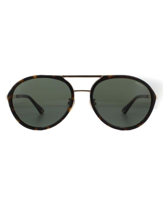 Police Brown Aviator Shiny Rose Sunglasses Metal for men