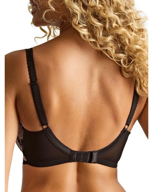 Panache Brown Clara Full Cup Bra