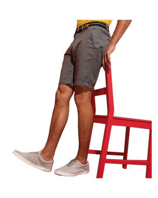 Asquith & Fox Gray Casual Chino Shorts (Slate) for men
