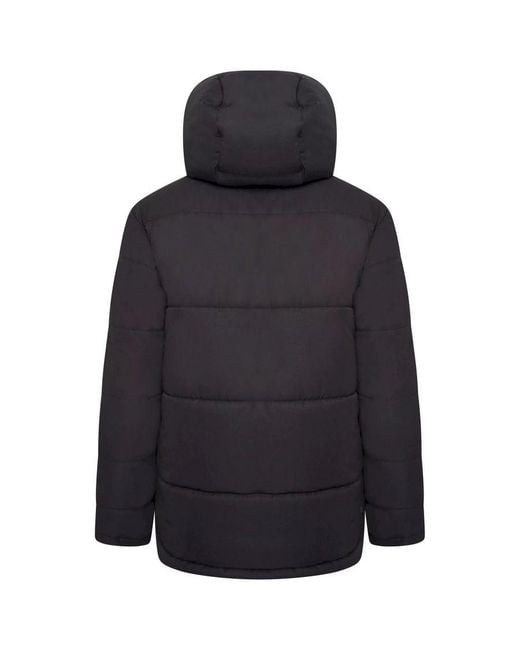 Dare 2b Blue Ladies Luxuriate Waterproof Padded Jacket