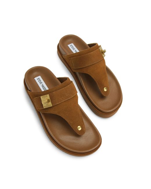 Steve Madden Brown Suede Tuned